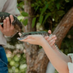 AlterD'AguilarWildlifeDay 11