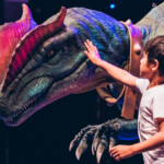 Boy Patting Dillo Dinosaur