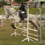 DSC00119 3872x2581 6234371