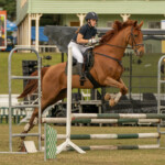 DSC00144 3872x2581 6234376