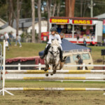 DSC00705 3872x2581 6234379