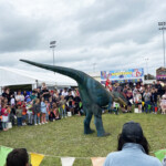 Dillo Dancing In Ring