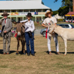 Mt G Show Donkey 6576 3872x2582 6235346