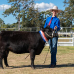 Mt G Show Livestock 6061 3872x2581 6235352