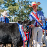 Mt Gavatt Show 2023 00246 3872x2581 6234427