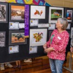 Mt Gravatt Show 2022 0068 3872x2581 6235418