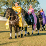 Mt Gravatt Show 2022 01132 3872x2582 6234344