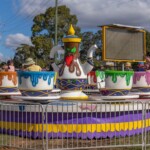 Mt Gravatt Show 2022 0212 3872x2582 6234338