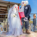 Mt Gravatt Show 2023 General 4 3535x2828 6218733