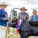 Mt Gravatt Show Livestock 78 3872x2581 6234408